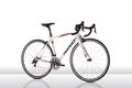 Ridley liza10 2015 01