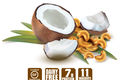 Ingredients coconut cashew