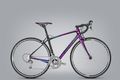 Focus izalco donna 3.0 01 2015