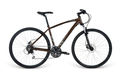 Apollo transfer 30 side gloss bronze gloss charcoal 2016