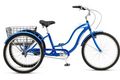 Schwinn town and country 01 2015