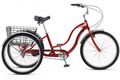 Schwinn town and country 02 2015