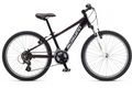 Schwinn mesa 24 01 2015