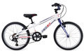 Apollo neo 20 boys geared side gloss white navy blue red 2016