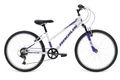 Radius lynx 24 side purple white lavender 2016