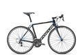Focus cayo tiagra side black blue 2016