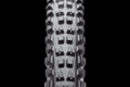 Maxxis minion dhf 02 2017