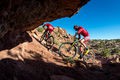Niner air 9 rdo 4 star copy 340300 16