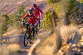 Niner air 9 rdo 4 star copy 340300 15