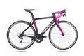 Pinarello gan s easy fit 311429 1