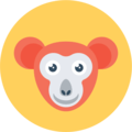 Pamela